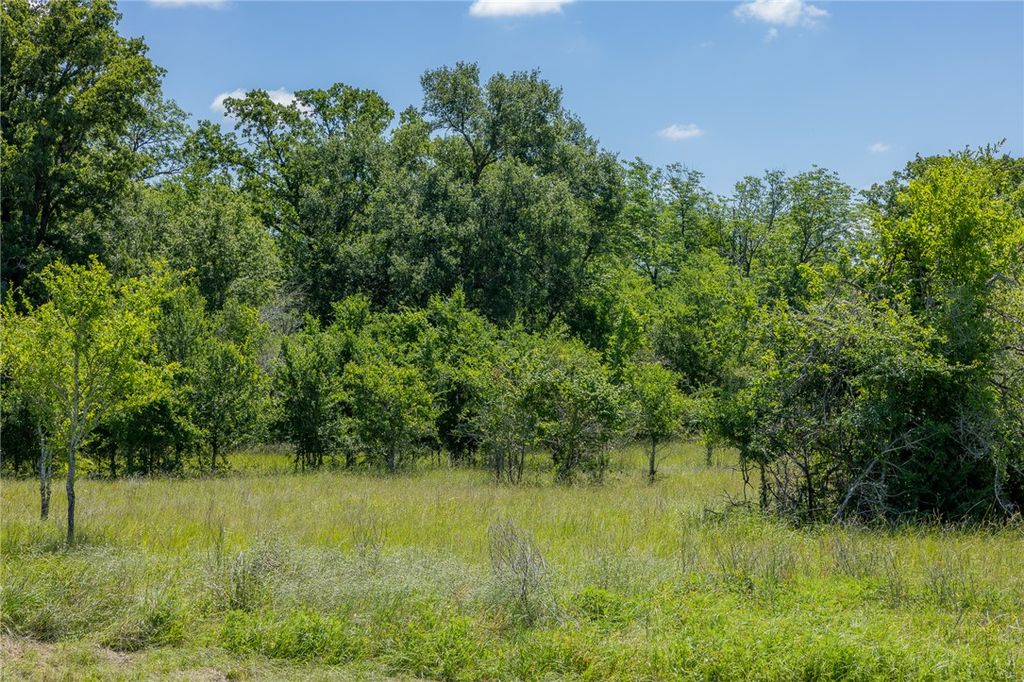 6558 Atakapan Trail, Bedias, TX 77831 — photo 2