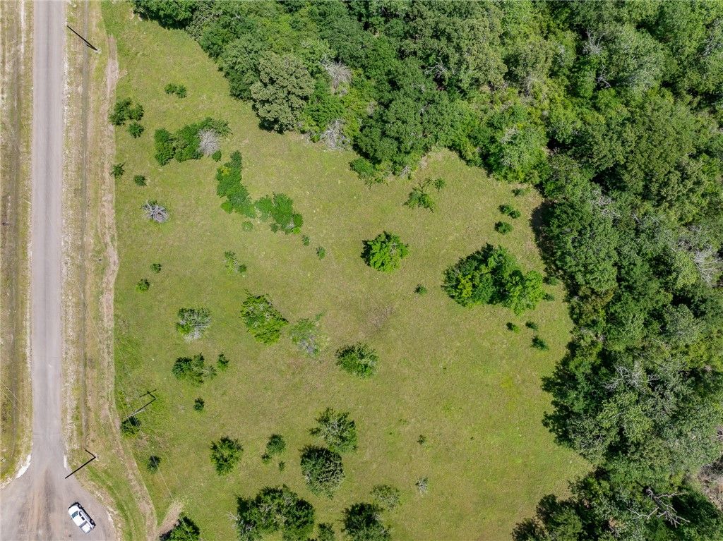 6558 Atakapan Trail, Bedias, TX 77831 — photo 5