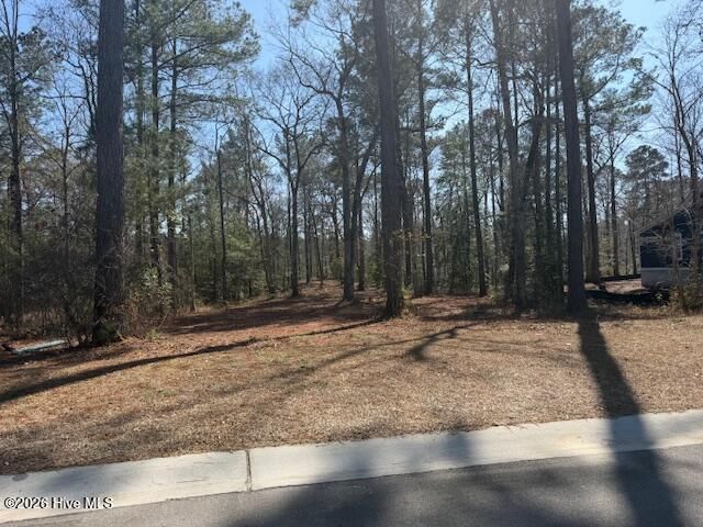 3695 River Park Way NE, Leland, NC 28451