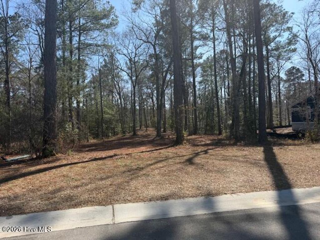 3695 River Park Way NE, Leland, NC 28451