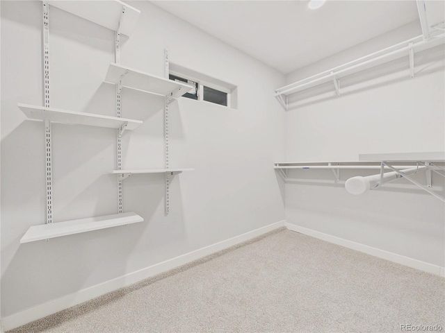 1784 S Downing St, Denver, CO 80210