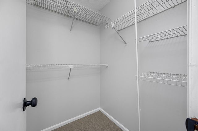 14809 WINDING CREEK COURT, Tampa, FL 33613