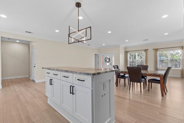 1081 S POINTE ALEXIS DRIVE, Tarpon Springs, FL 34689