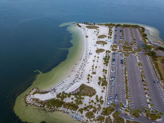 1081 S POINTE ALEXIS DRIVE, Tarpon Springs, FL 34689