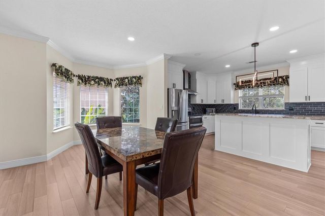 1081 S POINTE ALEXIS DRIVE, Tarpon Springs, FL 34689