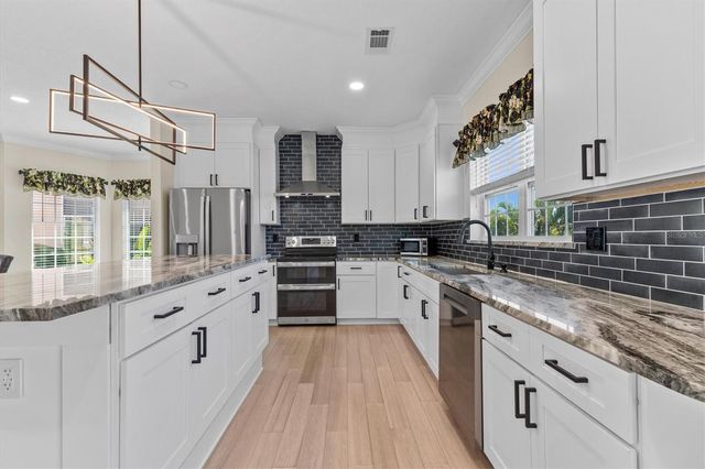 1081 S POINTE ALEXIS DRIVE, Tarpon Springs, FL 34689