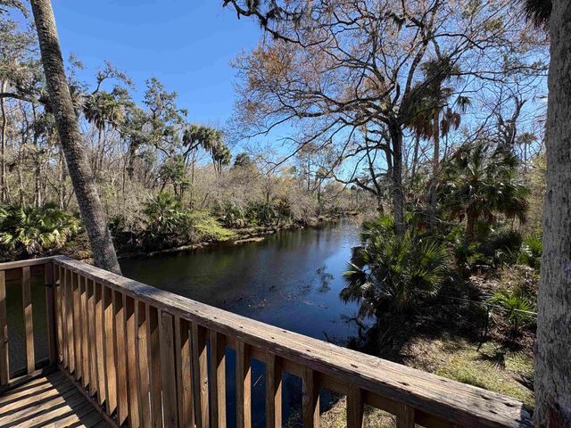 1714 NE RIVER Road, Steinhatchee, FL 32359
