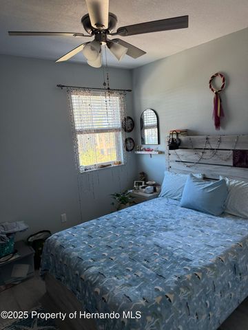 3605 EAGLE NEST Drive, Hernando Beach, FL 34607