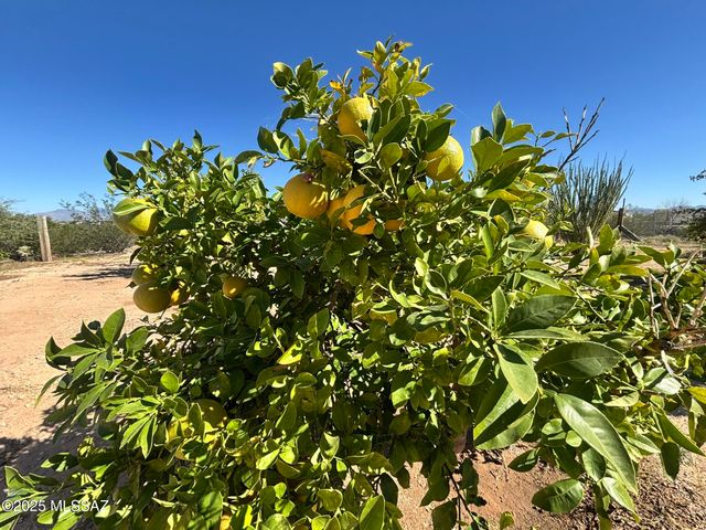 10935 S Swan Road, Tucson, AZ 85756