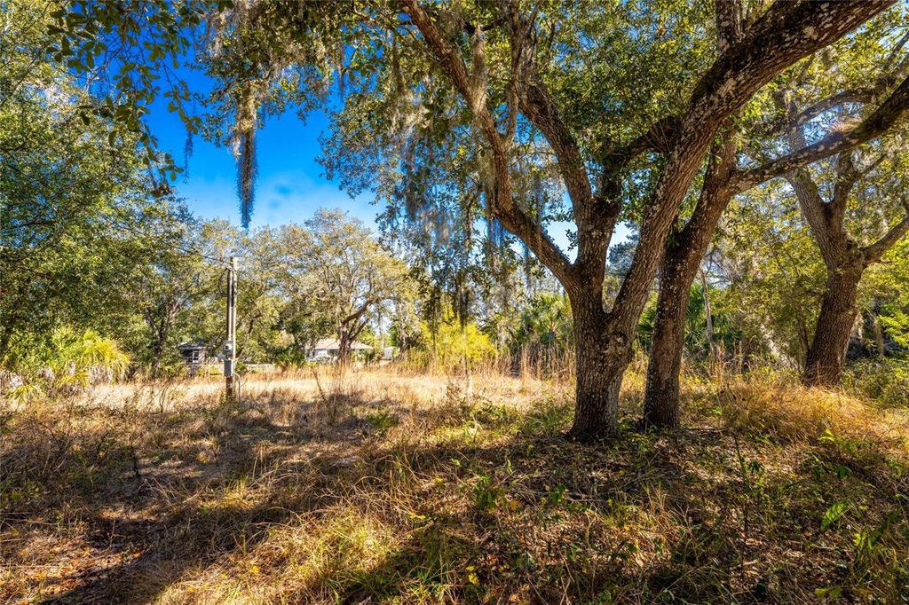 27362 SAN CARLOS DRIVE, Punta Gorda, FL 33983