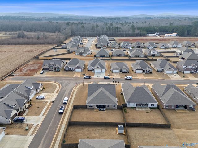 233 White Horse Way, Toney, AL 35773