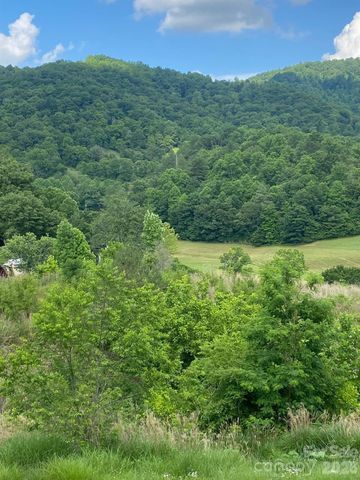 000 East Fork Road, Marshall, NC 28753