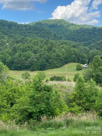 000 East Fork Road, Marshall, NC 28753