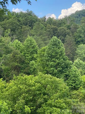 000 East Fork Road, Marshall, NC 28753