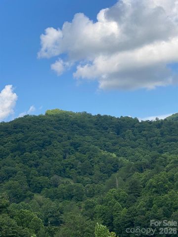 000 East Fork Road, Marshall, NC 28753