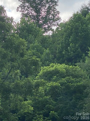000 East Fork Road, Marshall, NC 28753