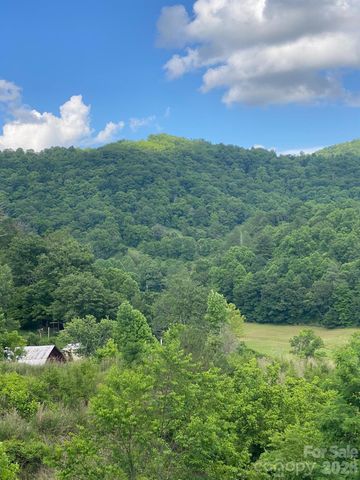 000 East Fork Road, Marshall, NC 28753