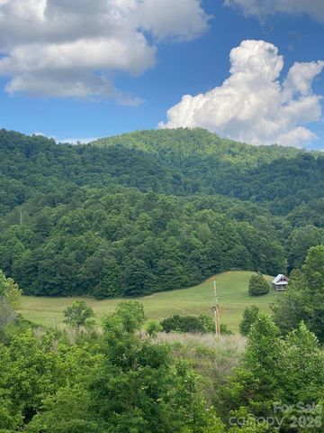 000 East Fork Road, Marshall, NC 28753