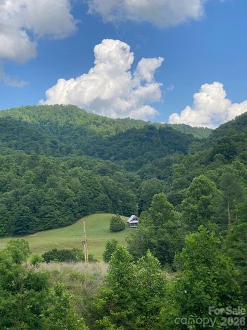 000 East Fork Road, Marshall, NC 28753