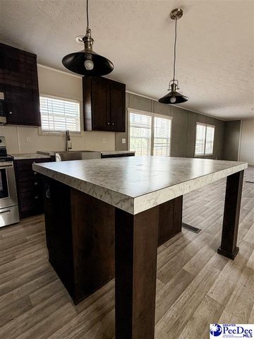 1302 Helena Drive, Dillon, SC 29536
