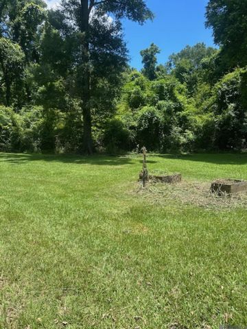 11283 N Wakefield Dr, St Francisville, LA 70775