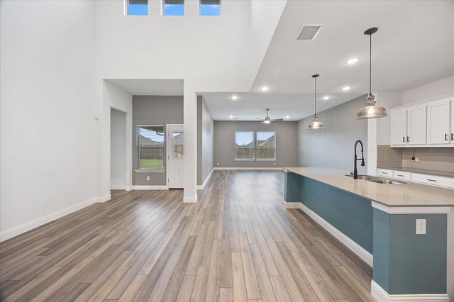 805 Serenity Sound Drive, Lavon, TX 75166
