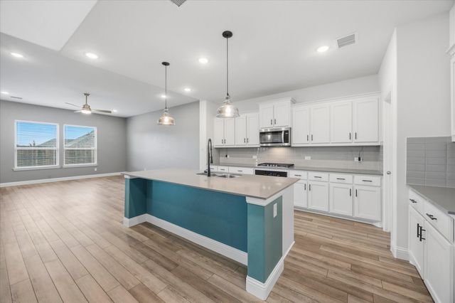 805 Serenity Sound Drive, Lavon, TX 75166