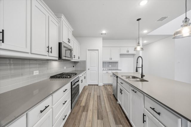 805 Serenity Sound Drive, Lavon, TX 75166