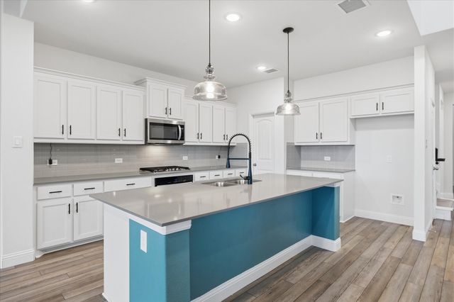 805 Serenity Sound Drive, Lavon, TX 75166