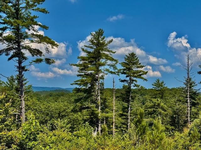 39 Mountaintown Overlook, Ellijay, GA 30540