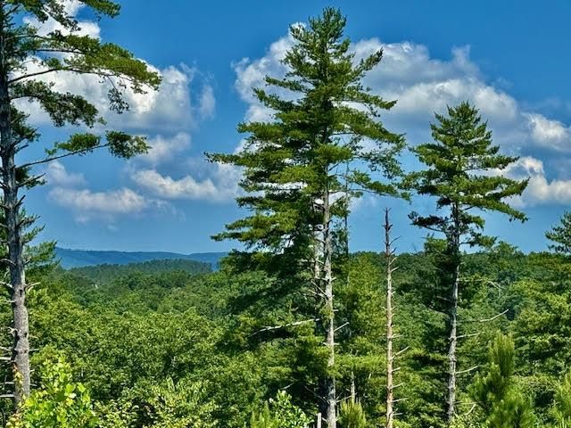 39 Mountaintown Overlook, Ellijay, GA 30540