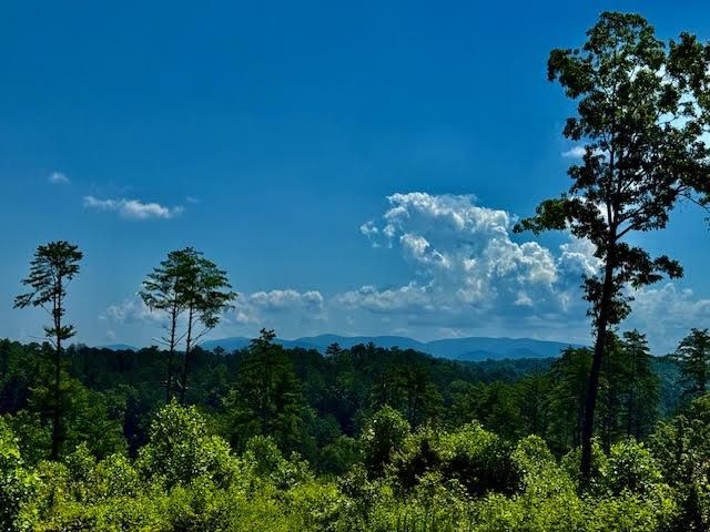 39 Mountaintown Overlook, Ellijay, GA 30540