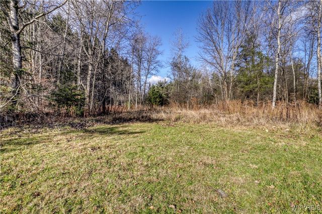 1618 East Hill Road, Lyndon, NY 14737