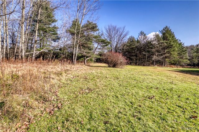 1618 East Hill Road, Lyndon, NY 14737