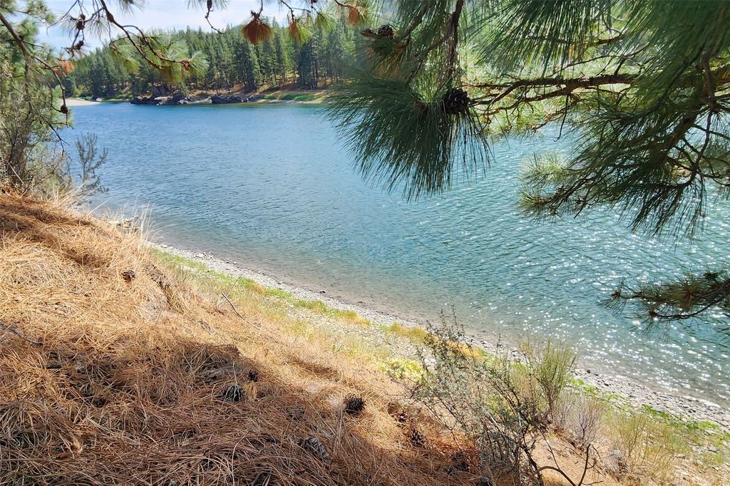 37 Mahonia Road, Plains, MT 59859 photo 54