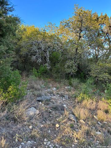 849 Santa Cruz, New Braunfels, TX 78132