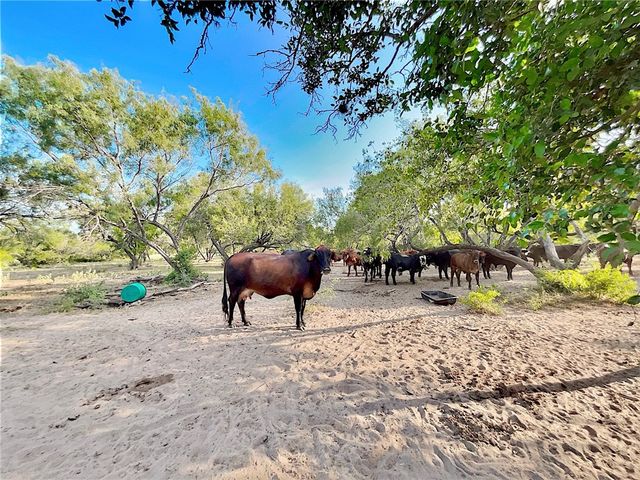 CR 119, Alice, TX 78332