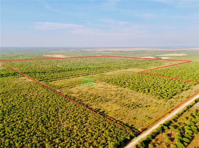 CR 119, Alice, TX 78332