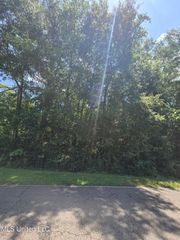 227 E Sunnybrook Road, Carriere, MS 39426