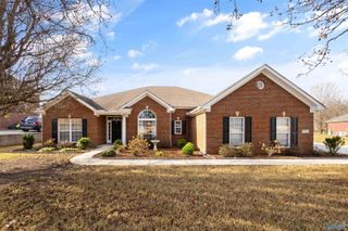 133 Tellico Ridge Road, New Market, AL 35761