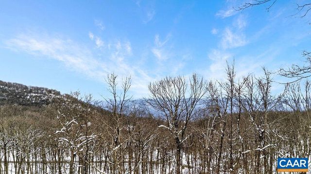 38 FIRTREE DR, Wintergreen, VA 22967