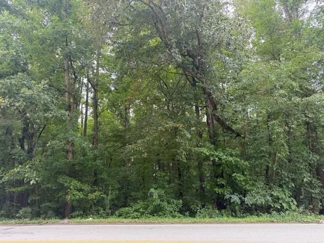 0 Old Burnt Hickory Road, Acworth, GA 30101