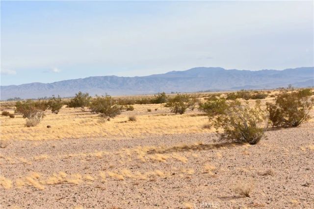 0 Buckthorne Caynon Rd, Helendale, CA 92301