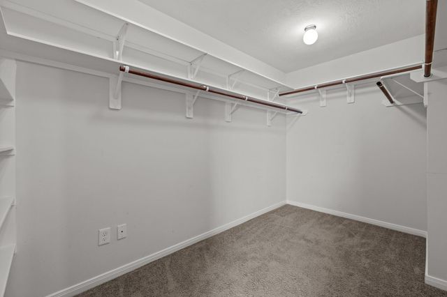 28027 Trade Wind Court, Rosharon, TX 77583
