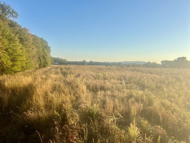 0 John Hunter Hwy, Huntland, TN 37345