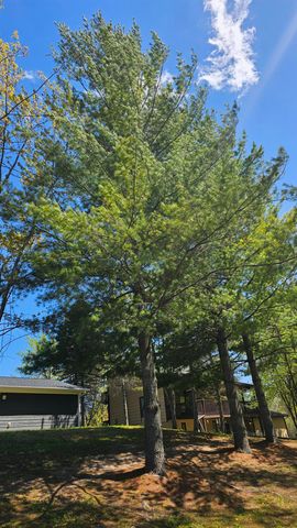 1990 Huntington Circle, Gladwin, MI 48624