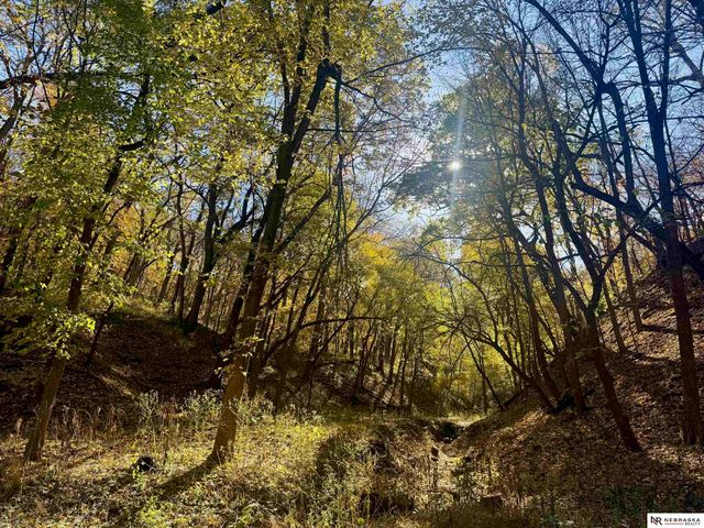 601 N Martin Drive, Bellevue, NE 68005