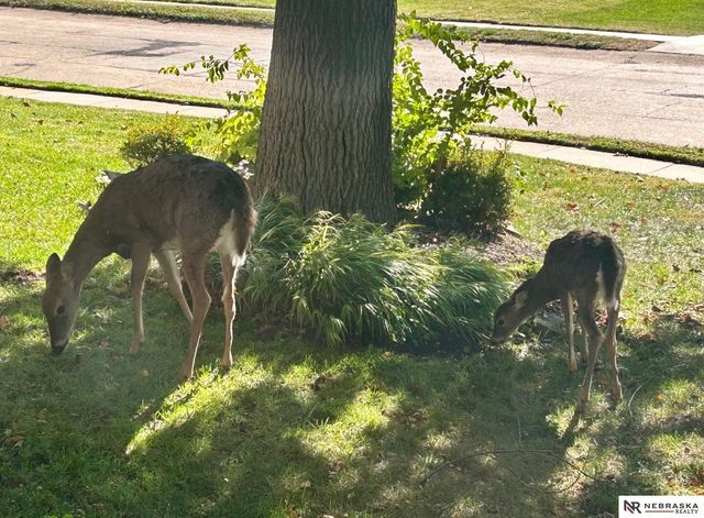 601 N Martin Drive, Bellevue, NE 68005