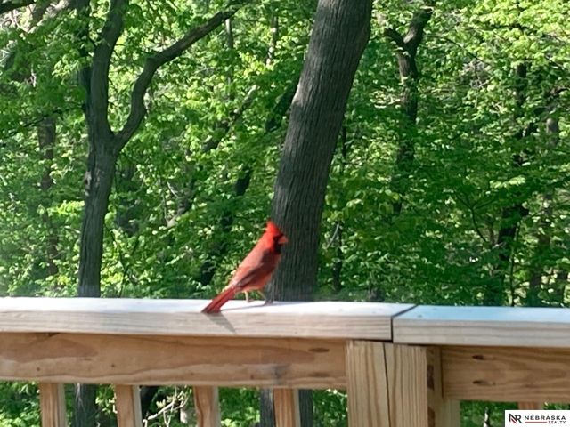 601 N Martin Drive, Bellevue, NE 68005