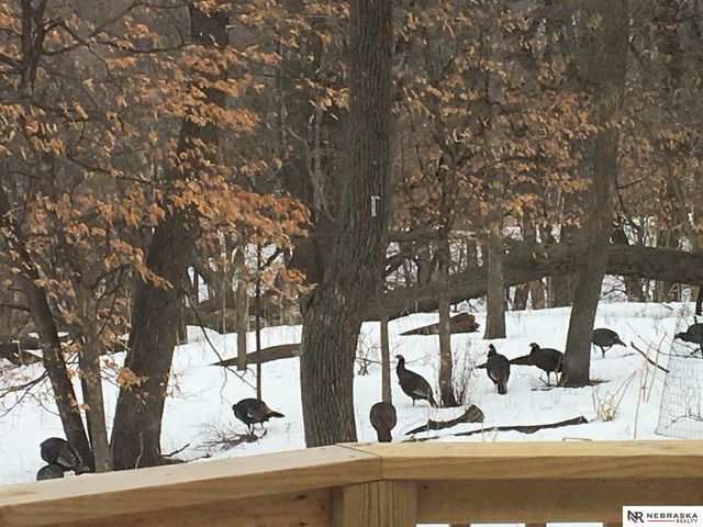 601 N Martin Drive, Bellevue, NE 68005